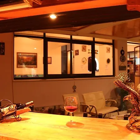 阿里亚酒店 酒店