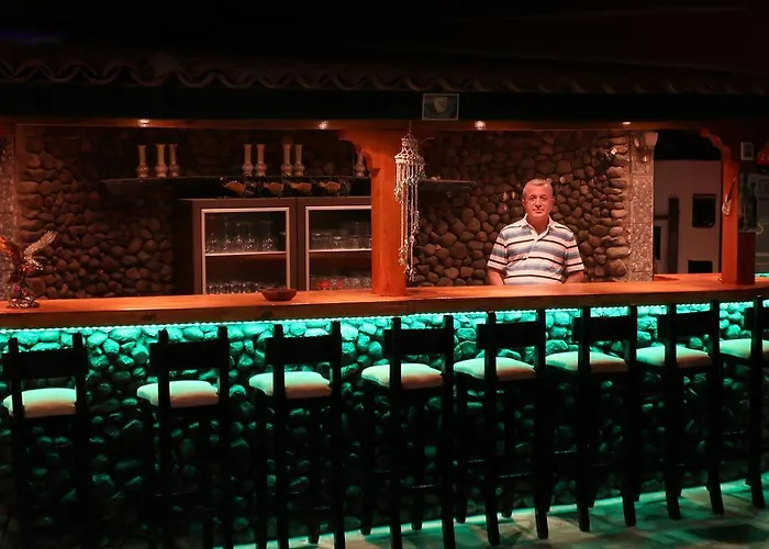 Ξενοδοχείο Arya